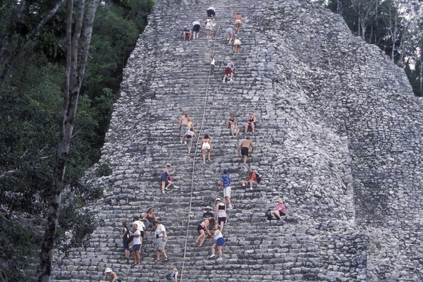 Μεξικό Coba Ιανουάριος 2009 Μάγια Ερείπια Nohoch Mul Pyramide Της — Φωτογραφία Αρχείου