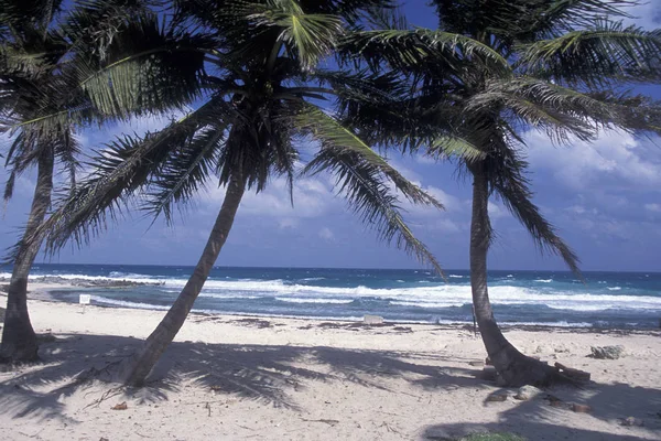 México Cancún Enero 2009 Una Playa Cerca Cancún Yucatán Provincia — Foto de Stock