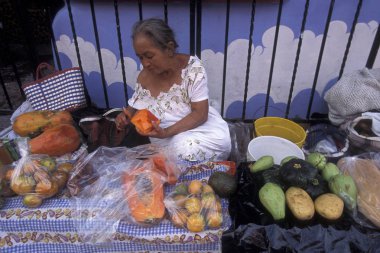 Isla Mujeres, Meksika - Ocak, 2009: Isla Mujeres köyü yakınındaki şehir Cancun Yucatan içinde il Quintana Roo Meksika Orta Amerika'da üzerinde bir yol. 