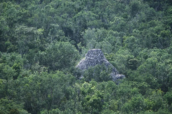 México Coba Enero 2009 Las Ruinas Mayas Con Pirámide Nohoch — Foto de Stock