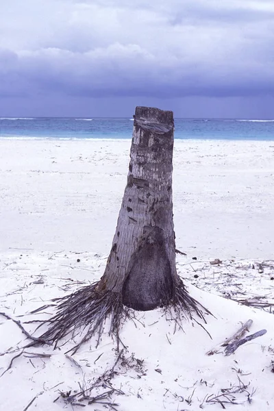 Meksika Cancun Ocak 2009 Beach Cancun Yucatan Içinde Quintana Roo — Stok fotoğraf