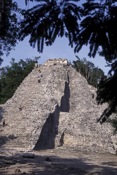 stock image Mexico, Coba - January, 2009: The Maya Ruins with the Nohoch Mul Pyramide of Coba in the Province Quintana Roo in Mexico in Central America.