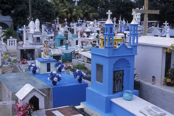 Mexiko Valladolid Januar 2009 Der Friedhof Der Altstadt Valladolid Auf — Stockfoto