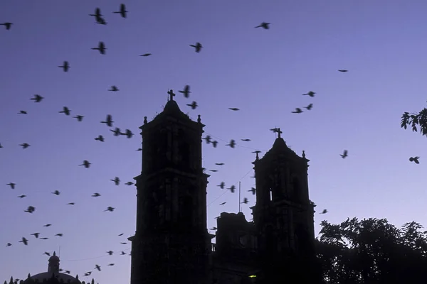 México Valladolid Enero 2009 Catedral San Gervaslo Casco Antiguo Valladolid — Foto de Stock