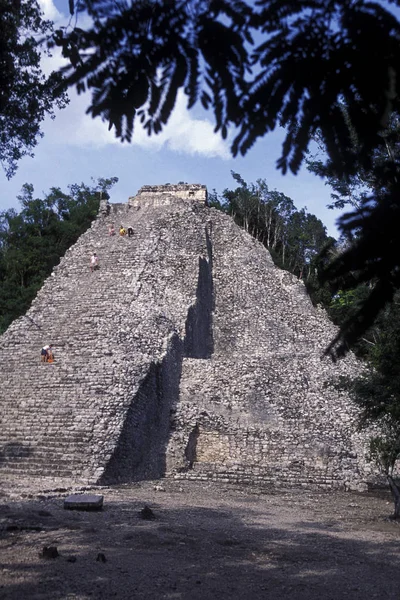 México Coba Janeiro 2009 Maya Ruins Nohoch Mul Pyramide Coba — Fotografia de Stock