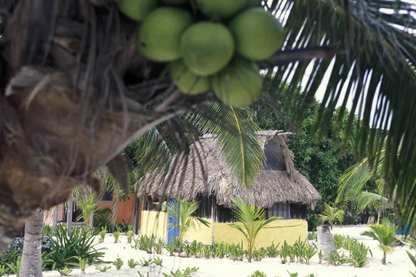 México Tulum Enero 2009 Bungalow Hotel Playa Tulum Provincia Quintana — Foto de Stock