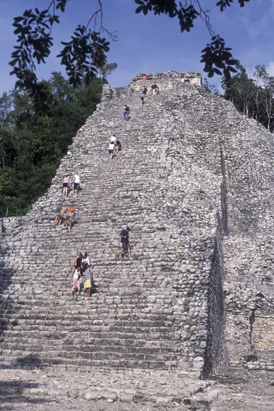 México Coba Janeiro 2009 Maya Ruins Nohoch Mul Pyramide Coba — Fotografia de Stock