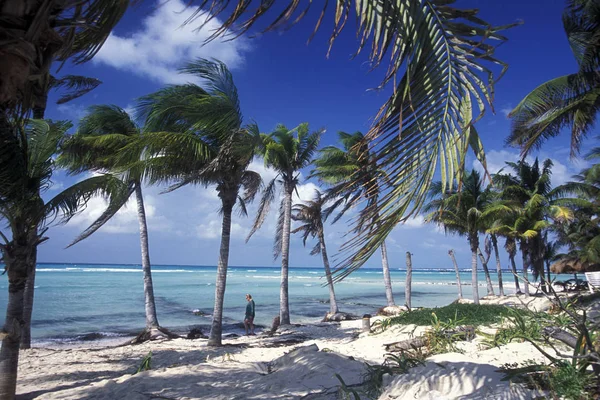 México Cancún Enero 2009 Una Playa Cerca Cancún Yucatán Provincia — Foto de Stock