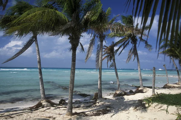 México Cancún Enero 2009 Una Playa Cerca Cancún Yucatán Provincia — Foto de Stock