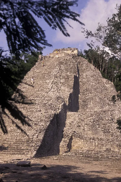 Mexico Coba Januari 2009 Maya Ruïnes Met Nohoch Mul Pyramide — Stockfoto