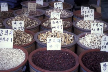 Ginseng Eastaasia Güney Kore'de Seoul şehir piyasada bir dükkanda. Southkorea, Seoul, Mayıs 2006