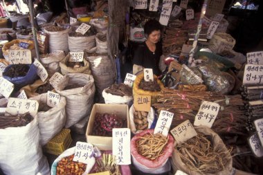 Ginseng Eastaasia Güney Kore'de Seoul şehir piyasada bir dükkanda. Southkorea, Seoul, Mayıs 2006