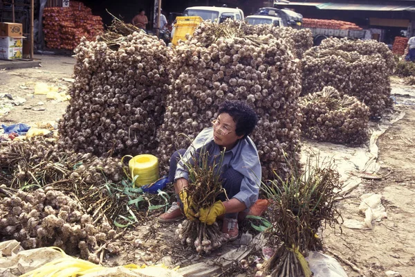 Alho Uma Loja Mercado Cidade Seul Coreia Sul Eastaasia Southkorea — Fotografia de Stock