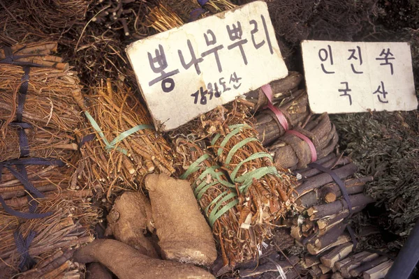 Специальная Древесина Медицина Рынке Городе Сеул Южной Корее Восточной Азии — стоковое фото
