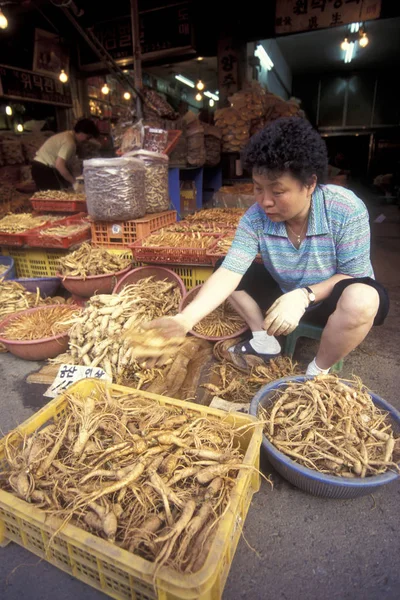 Ginseng Una Tienda Mercado Ciudad Seúl Corea Del Sur Eastaasia — Foto de Stock