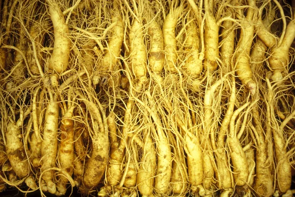 Ginseng Einem Geschäft Auf Einem Markt Der Südkoreanischen Stadt Seoul — Stockfoto