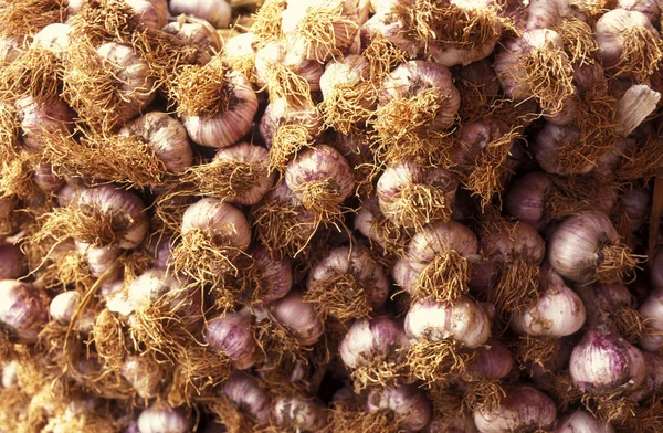 Knoblauch Einem Geschäft Auf Einem Markt Der Südkoreanischen Stadt Seoul — Stockfoto