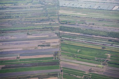Tarım alanları Southeastasia Tayland Bangkok şehir kuzeyinde. Tayland, Bangkok, Kasım, 2018