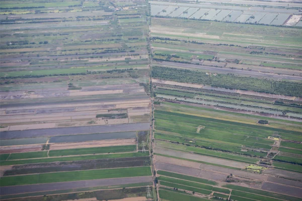 Campos Agrícolas Norte Ciudad Bangkok Tailandia Southeastasia Tailandia Bangkok Noviembre — Foto de Stock