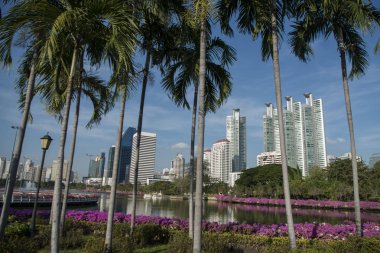 Southeastasia Tayland Bangkok şehir Ratchada Park'ta Ratchada Gölü manzarası. Tayland, Bangkok, Kasım, 2018