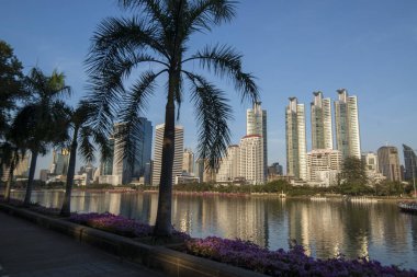 Southeastasia Tayland Bangkok şehir Ratchada Park'ta Ratchada Gölü manzarası. Tayland, Bangkok, Kasım, 2018