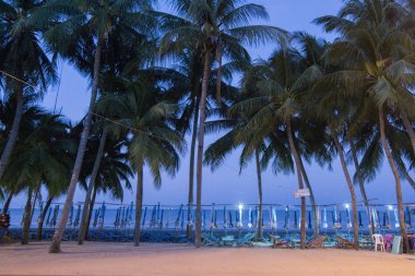  Bang Saen sahilde Provinz Chonburi Tayland Bangsaen kasaba. Tayland, Bangsaen, Kasım, 2018