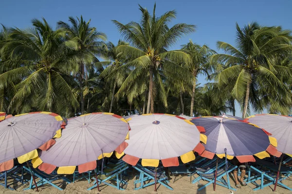Parasoller Och Solstolar Bang Saen Beach Den Stad Bangsaen Den — Stockfoto