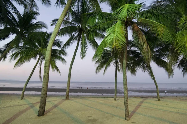  Bang Saen sahilde Provinz Chonburi Tayland Bangsaen kasaba. Tayland, Bangsaen, Kasım, 2018