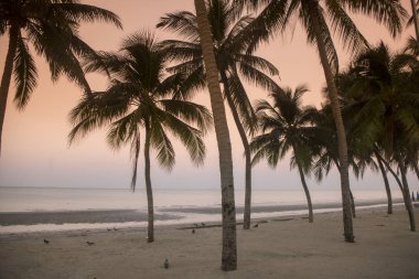 Bang Saen sahilde Provinz Chonburi Tayland Bangsaen kasaba. Tayland, Bangsaen, Kasım, 2018