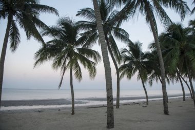  Bang Saen sahilde Provinz Chonburi Tayland Bangsaen kasaba. Tayland, Bangsaen, Kasım, 2018