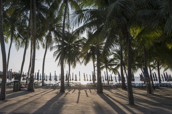  Bang Saen sahilde Provinz Chonburi Tayland Bangsaen kasaba. Tayland, Bangsaen, Kasım, 2018