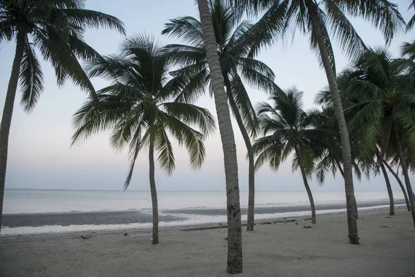  Bang Saen sahilde Provinz Chonburi Tayland Bangsaen kasaba. Tayland, Bangsaen, Kasım, 2018