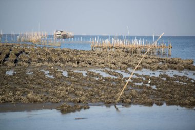 istiridye çiftlikleri yakınındaki Provinz Chonburi Tayland Beangsaen Ang Sila kasaba, sahilinde. Tayland, Bangsaen, Kasım, 2018