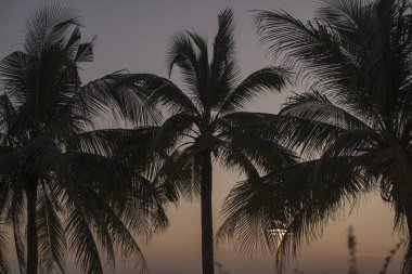  Bang Saen sahilde Provinz Chonburi Tayland Bangsaen kasaba. Tayland, Bangsaen, Kasım, 2018