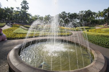 nong nooch tropikal bahçe Provinz Chonburi Tayland Pattaya city yakınındaki Garden'da. Tayland, Pattaya, Kasım, 2018