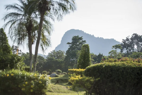 Garden Buddha Cliff Khao Chee Chan Village Sattahip City Pattaya — Stock Photo, Image