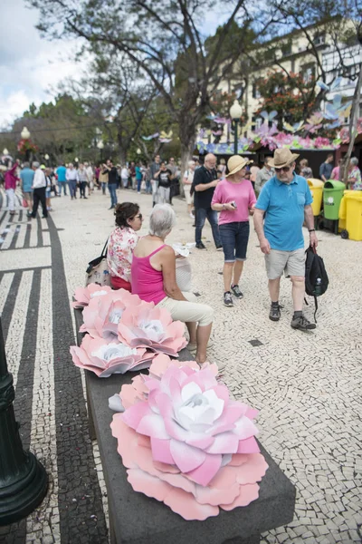 Market Street Avenida Arriaga Festa Flor Spring Flower Festival City — Stock Photo, Image