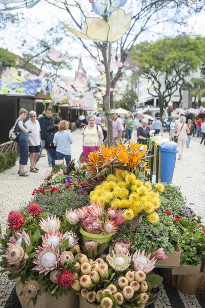 Flower Market Market Street Avenida Arriaga Festa Flor Spring Flower — Stock Photo, Image