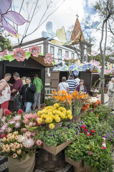 Flower Market Market Street Avenida Arriaga Festa Flor Spring Flower — Stock Photo, Image