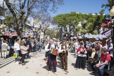 bir traditonal madeira folklor müzik grubu s Festa da Flor veya bahar çiçek Festivali Funchal Şehir Adası Madeira Portekiz Atlantik Okyanusu. Madeira, Funchal, Nisan, 2018