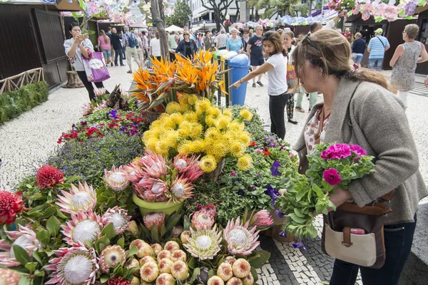 Flower Market Market Street Avenida Arriaga Festa Flor Spring Flower — Stock Photo, Image