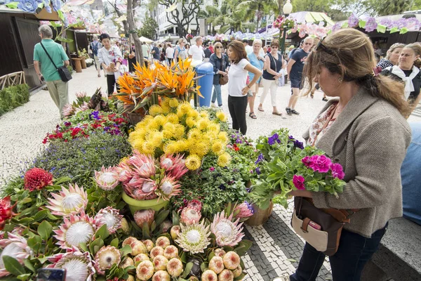 Квітковий Ринок Маркет Стріт Авеніда Arriaga Festa Flor Або Свято — стокове фото