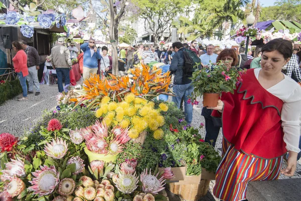 Flower Market Market Street Avenida Arriaga Festa Flor Spring Flower — Stock Photo, Image