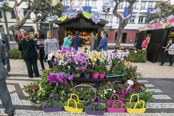 Flower Market Market Street Avenida Arriaga Festa Flor Spring Flower — Stock Photo, Image