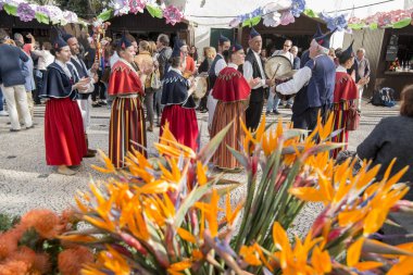 bir traditonal madeira folklor müzik grubu s Festa da Flor veya bahar çiçek Festivali Funchal Şehir Adası Madeira Portekiz Atlantik Okyanusu. Madeira, Funchal, Nisan, 2018