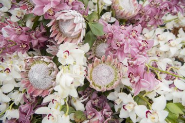 çiçek pazarı ve avenida Arriaga Festa da Flor veya Funchal Şehir Adası Madeira Portekiz Atlantik Okyanusu bahar çiçek Festivali Pazar Caddesinde. Madeira, Funchal, Nisan, 2018