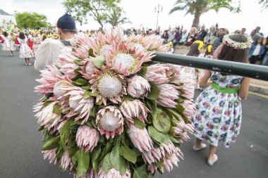 Erkekler renkli elbise Festa da Flor veya bahar çiçek Festivali, Funchal Şehir Adası Madeira Portekiz Atlantik Okyanusu giymiş. Madeira, Funchal, Nisan, 2018