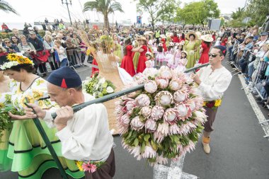 Erkekler renkli elbise Festa da Flor veya bahar çiçek Festivali, Funchal Şehir Adası Madeira Portekiz Atlantik Okyanusu giymiş. Madeira, Funchal, Nisan, 2018