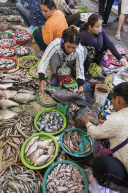 Kamboçya Siem Reap Eski Pazar