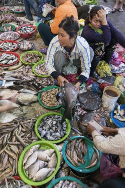 Kamboçya Siem Reap Eski Pazar